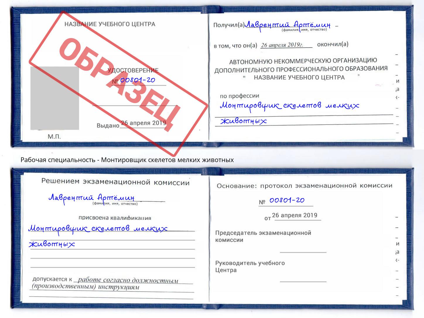 Монтировщик скелетов мелких животных Котовск