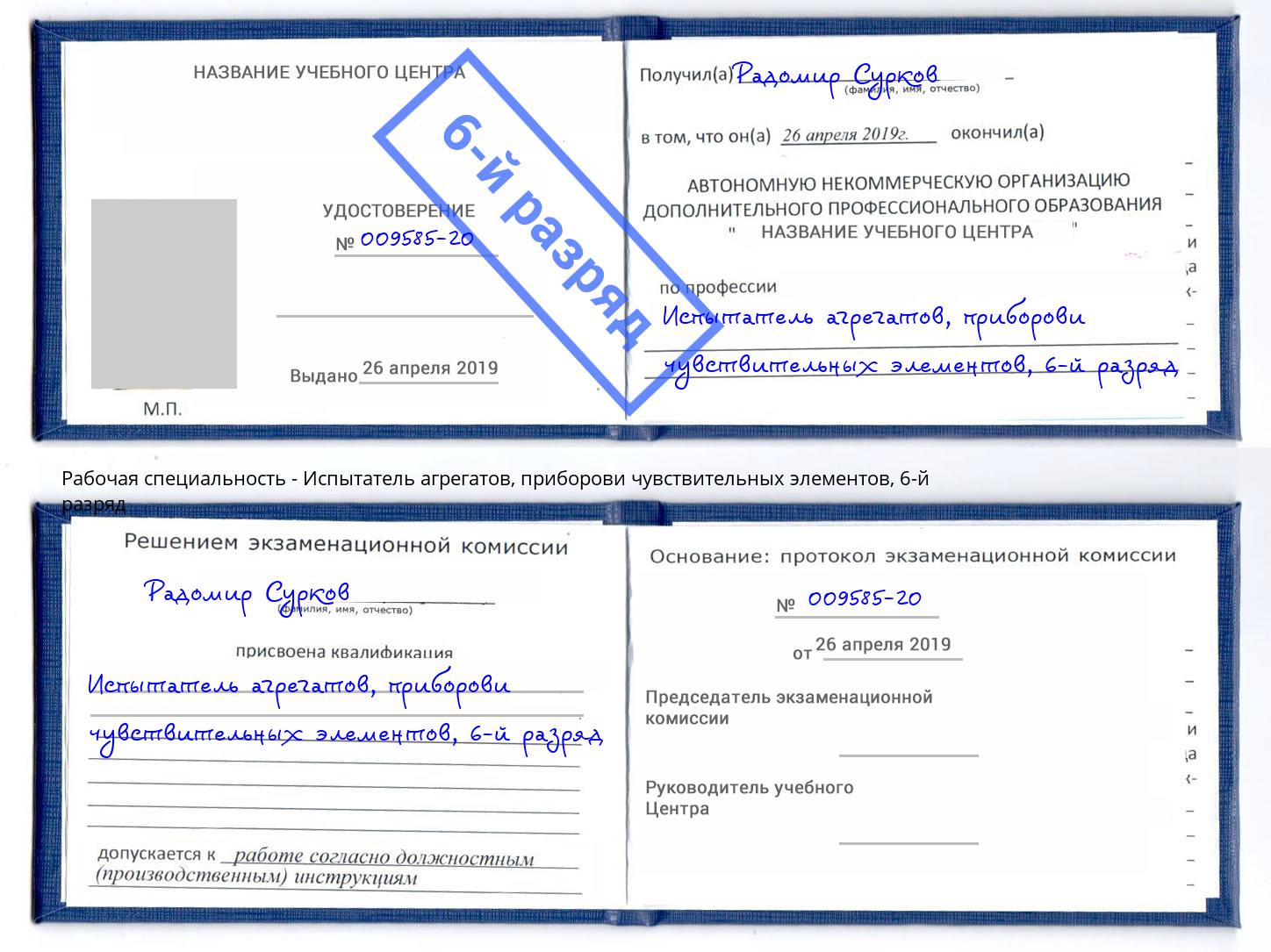корочка 6-й разряд Испытатель агрегатов, приборови чувствительных элементов Котовск