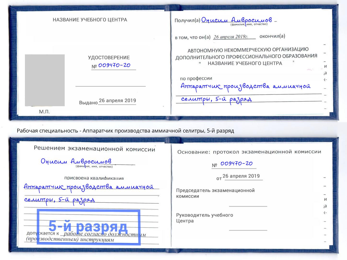 корочка 5-й разряд Аппаратчик производства аммиачной селитры Котовск