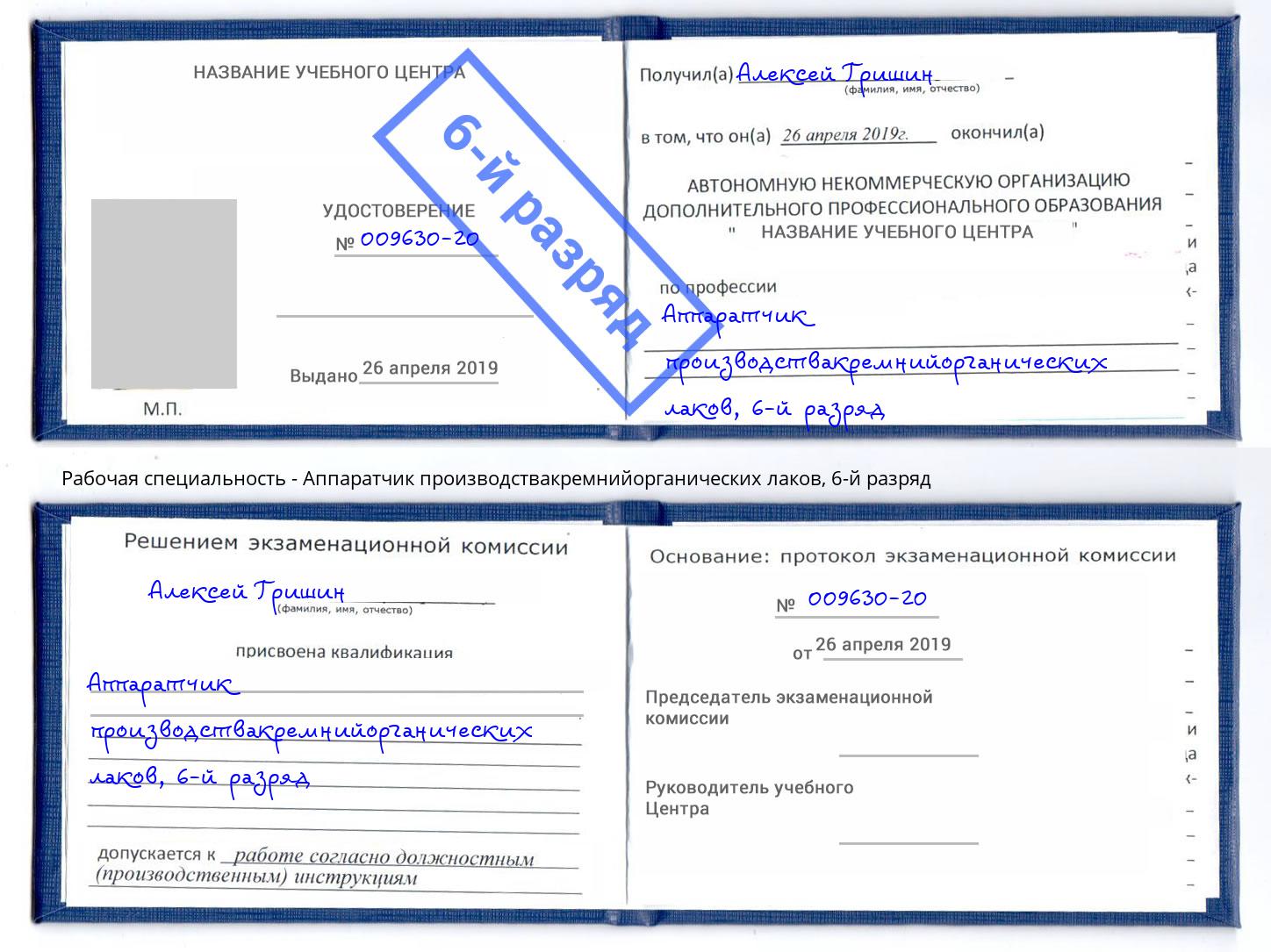 корочка 6-й разряд Аппаратчик производствакремнийорганических лаков Котовск