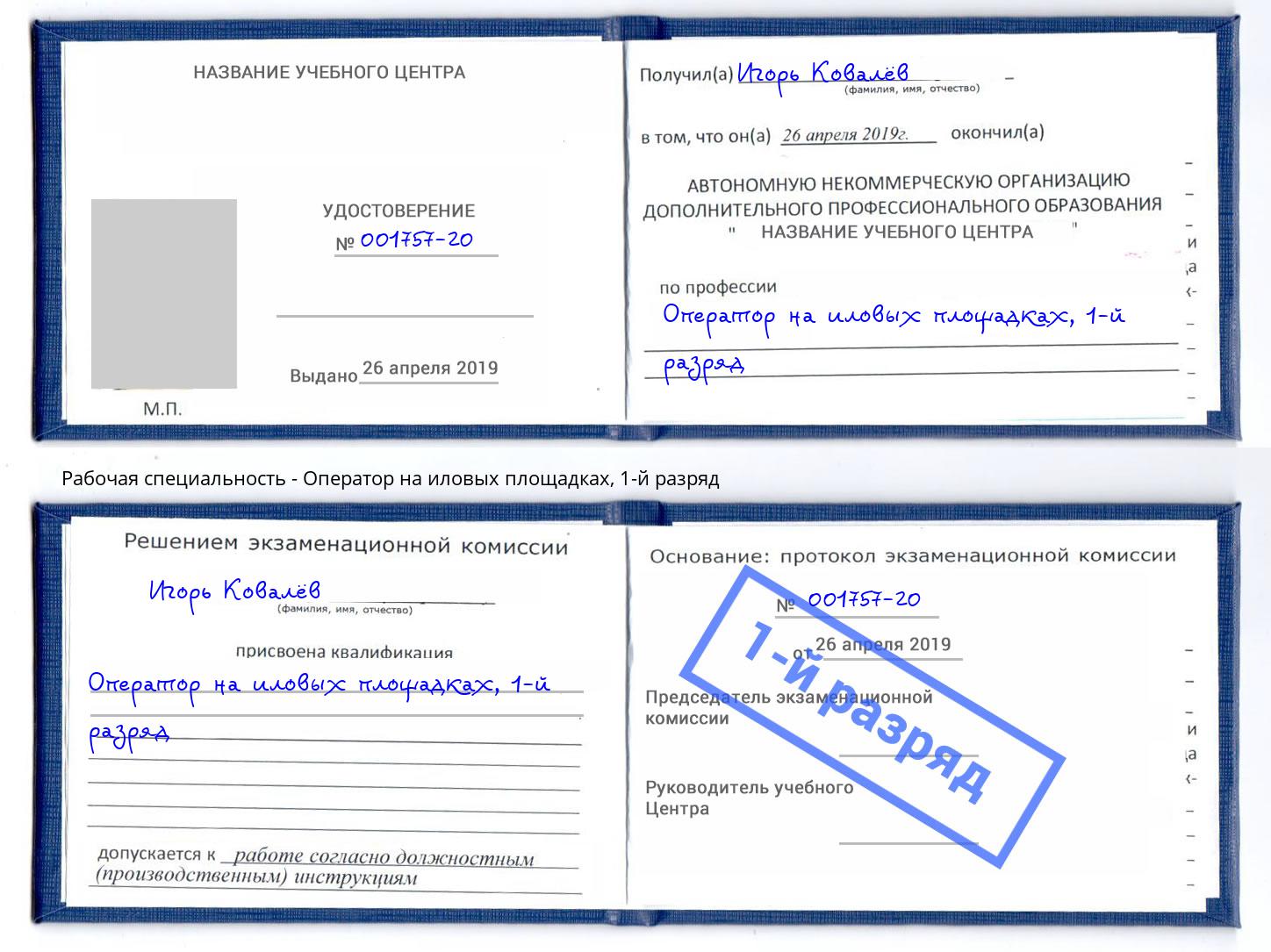 корочка 1-й разряд Оператор на иловых площадках Котовск