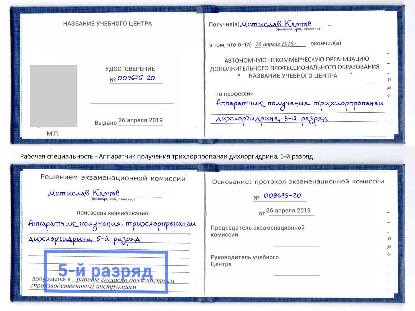 корочка 5-й разряд Аппаратчик получения трихлорпропанаи дихлоргидрина Котовск